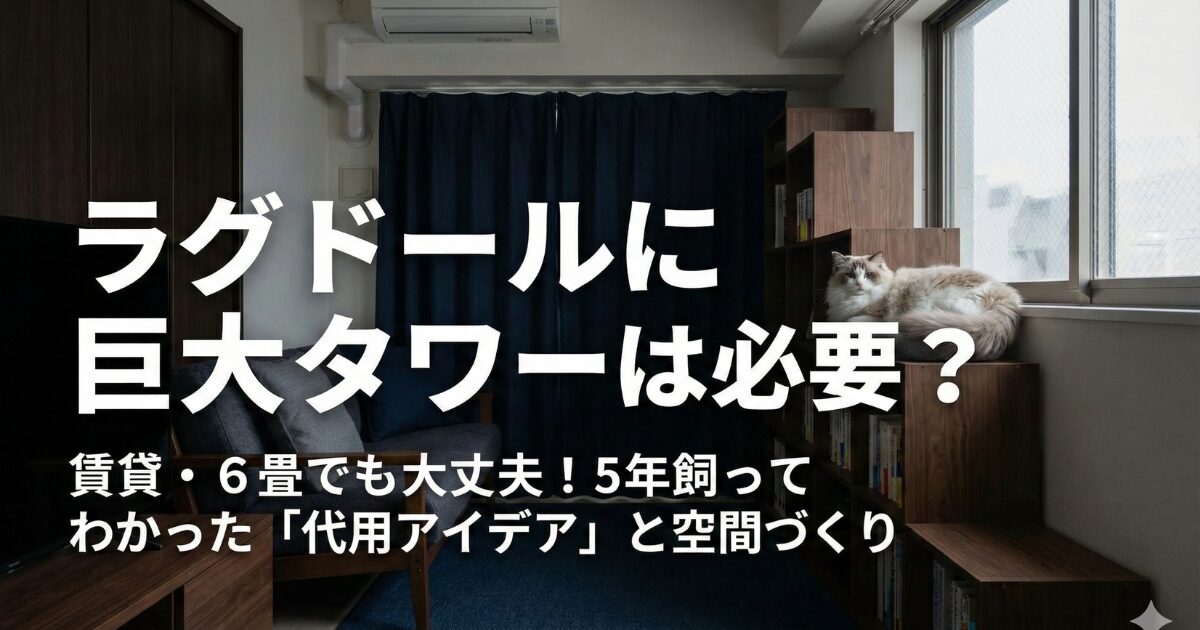 ラグドールキャットタワー　不要アイキャッチ