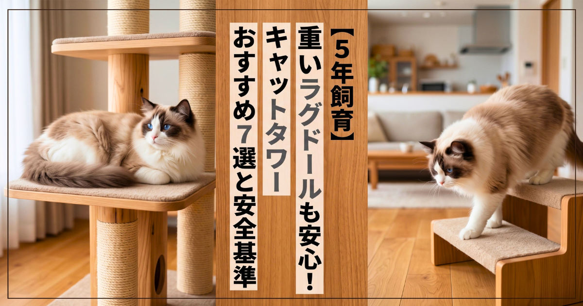 ラグドール　キャットタワー　アイキャッチ画像ragdoll-cattower-select-03