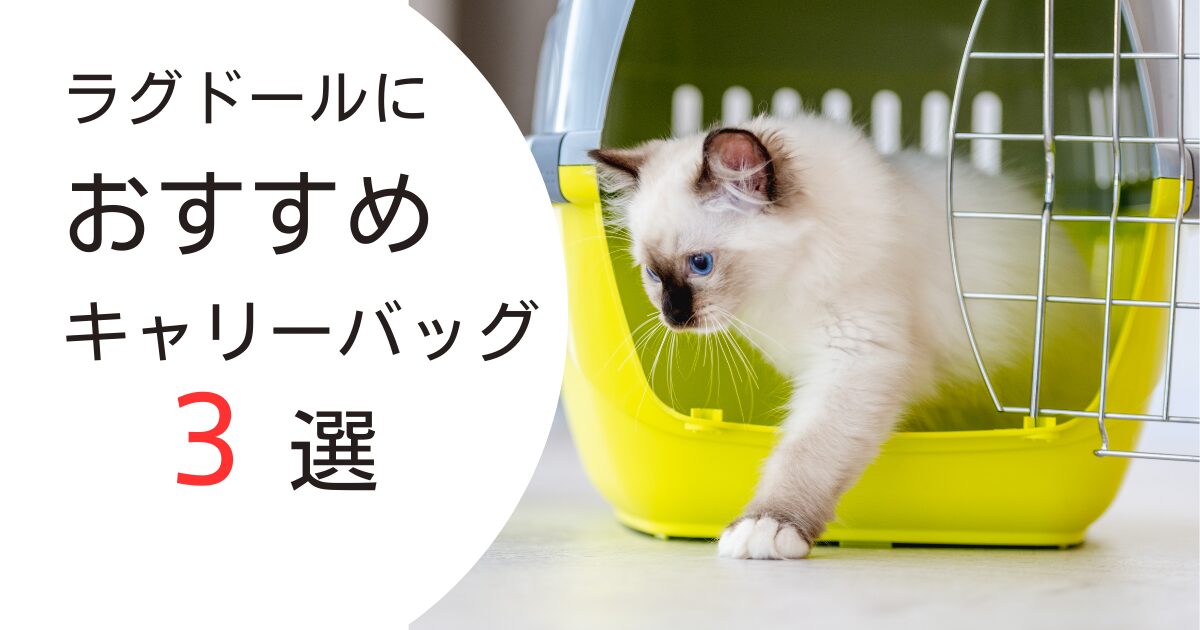 ラグドール　おすすめキャリーバッグ　アイキャッチ