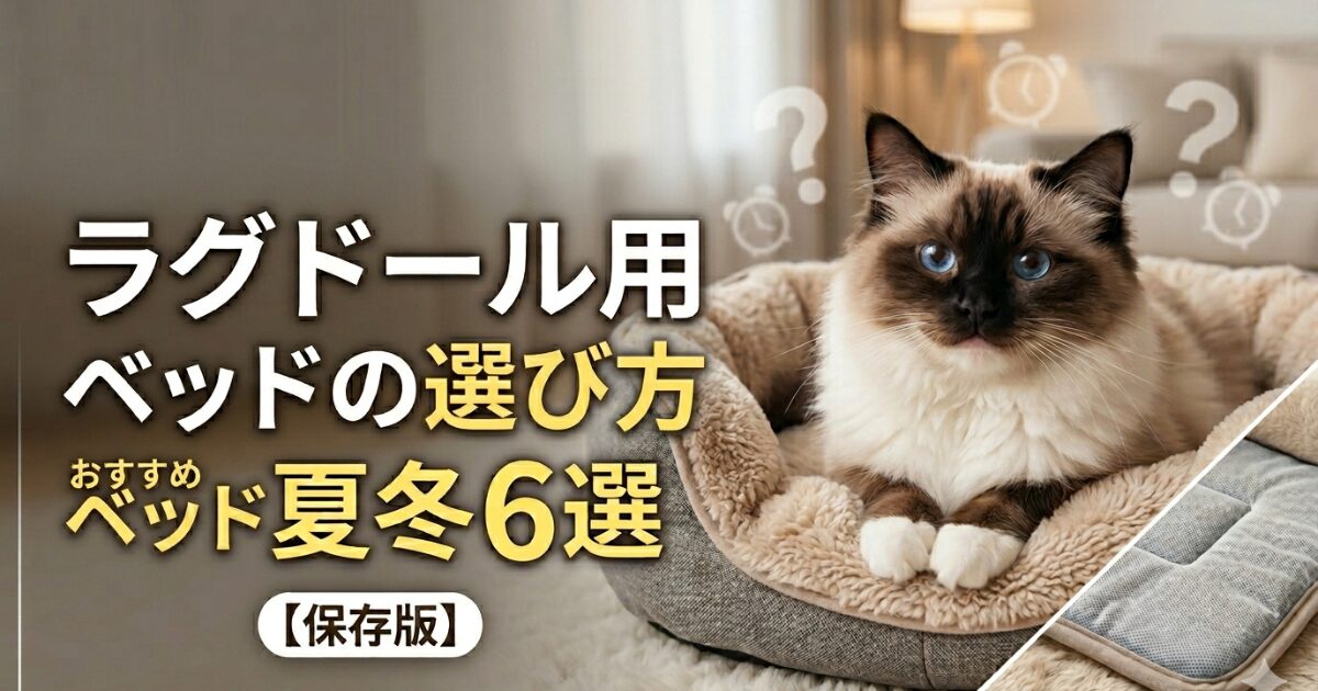 ラグドール　ベッド　おすすめ　アイキャッチ画像