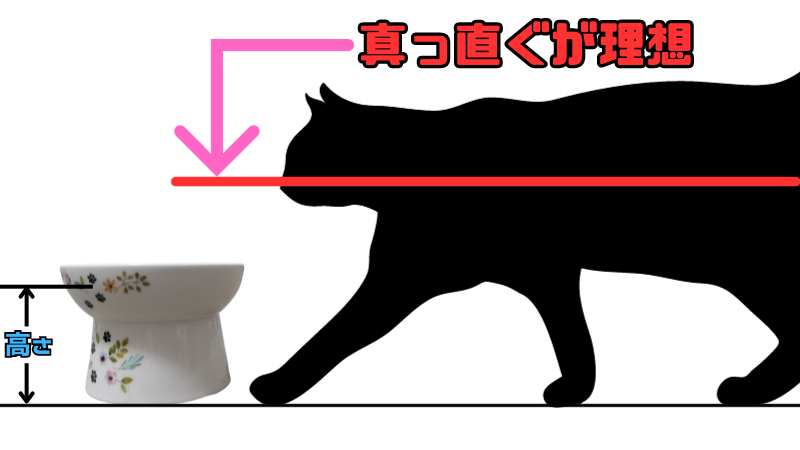 猫がご飯を食べやすい高さ