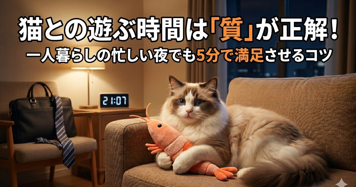 一人暮らし 猫 遊ぶ時間 アイキャッチ