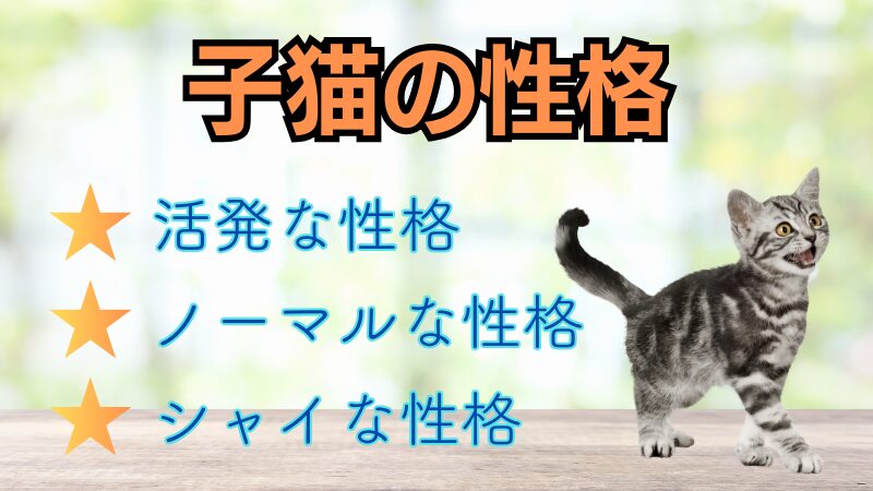 子猫の性格