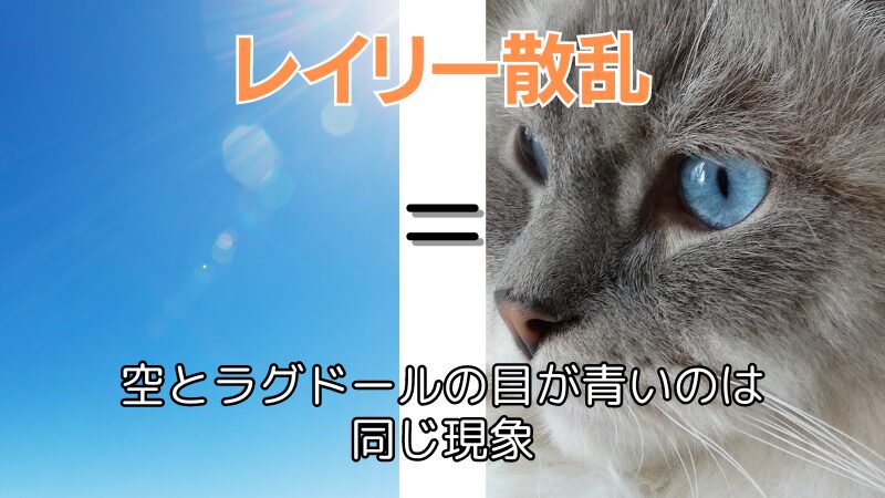 空が青いのとラグドールの目が青い理由は同じ