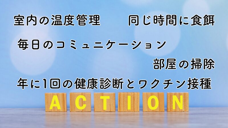 5つの行動について解説