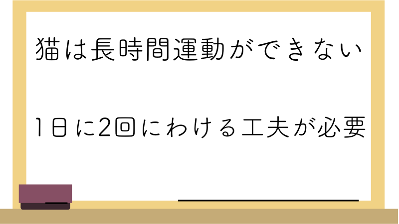 遊ぶ工夫