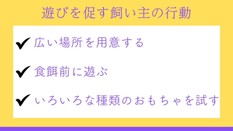 遊びを促す飼い主の行動