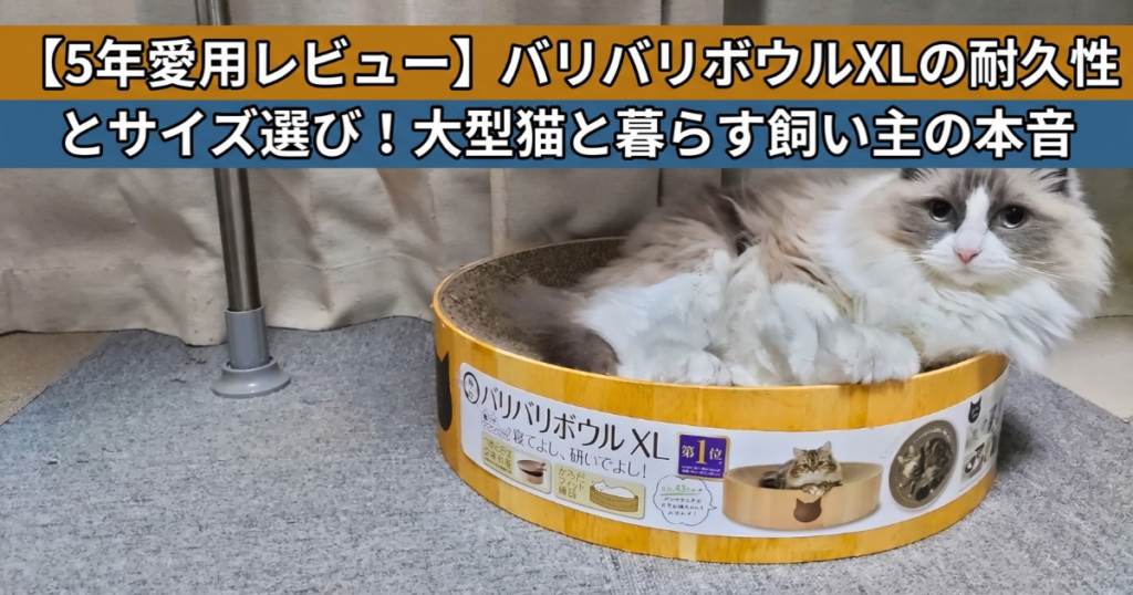 バリバリボウルレビュー　アイキャッチ (1)
