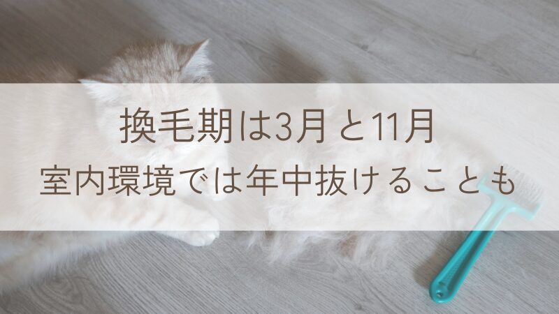 換毛期は3月と11月