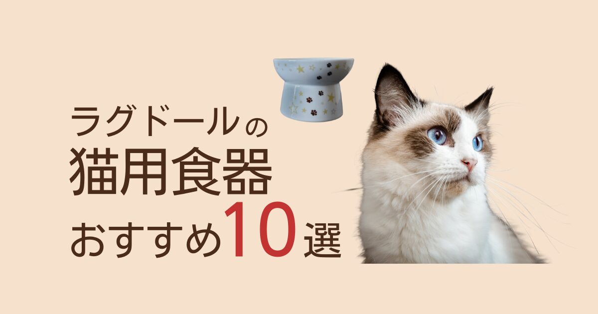 ラグドール猫用食器アイキャッチ