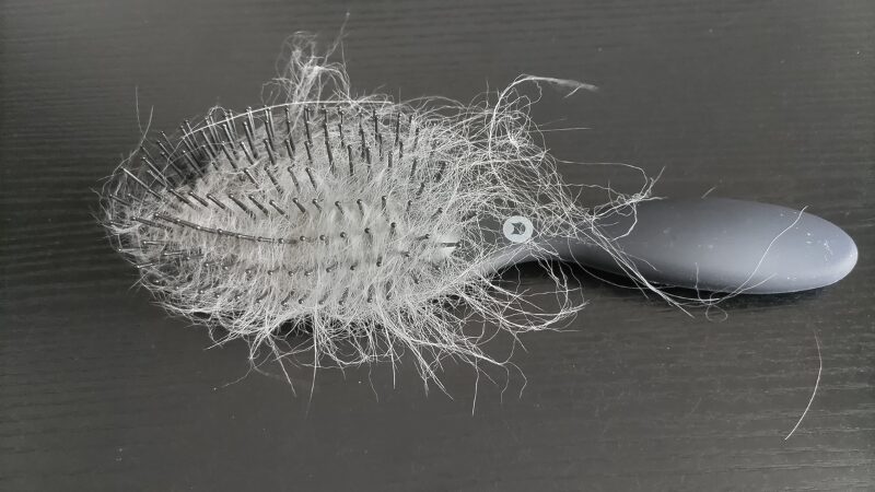 猫壱ブラシ　使用感