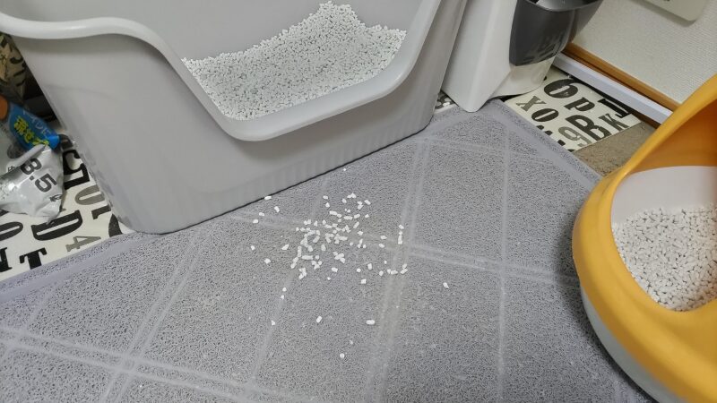 トイレの前で猫砂が散らかっている様子