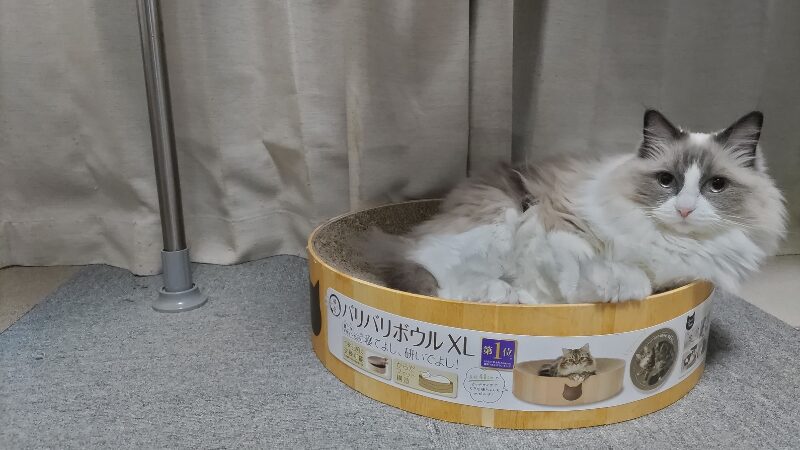 平型爪とぎ器の様子