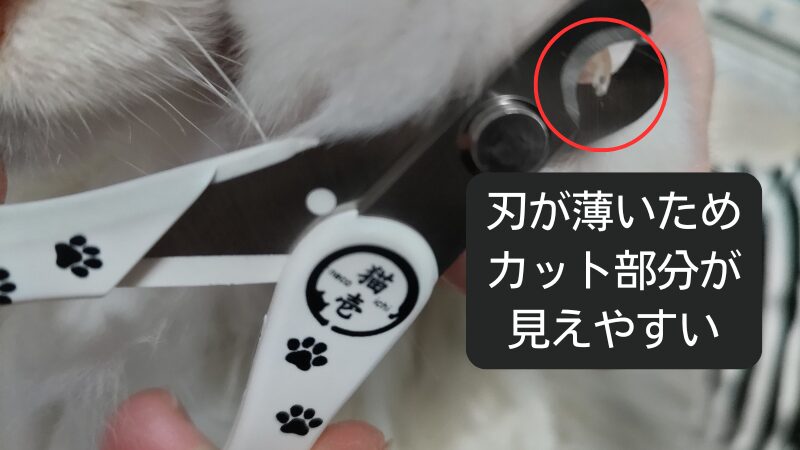 カット部分が見えやすい理由の画像