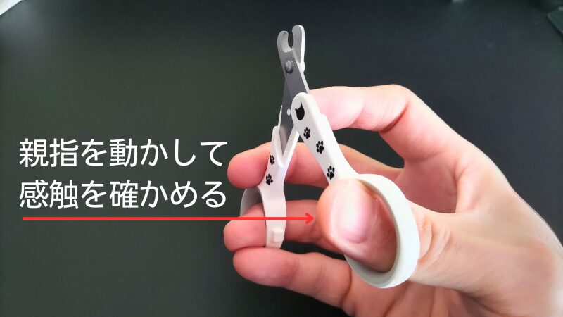 親指を動かして感触を確かめる画像