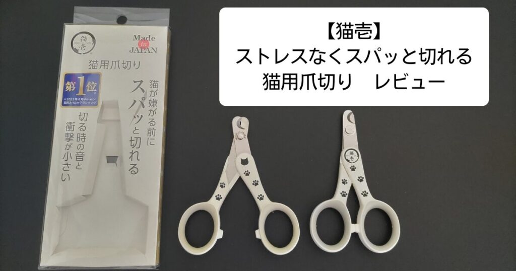 猫壱爪切り　アイキャッチ画像