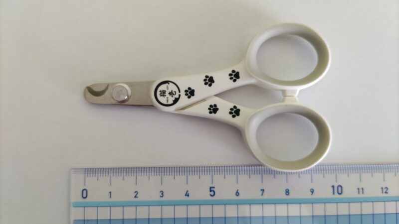 猫壱　爪切りの大きさ