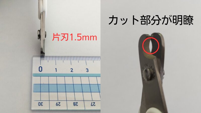 片刃1.5mmとカット部分が明瞭