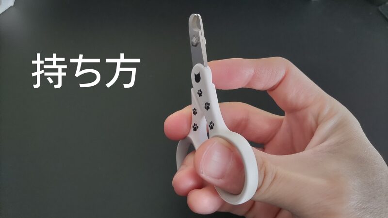 猫壱爪切りの持ち方