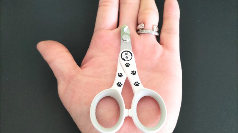 猫壱爪切り　手のひら