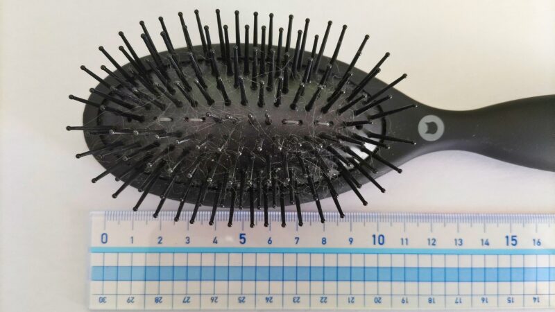 猫壱ブラシのブラシ部分の大きさ