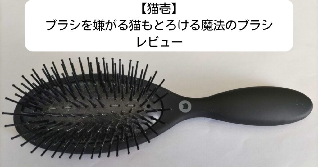 猫壱ブラシ アイキャッチ