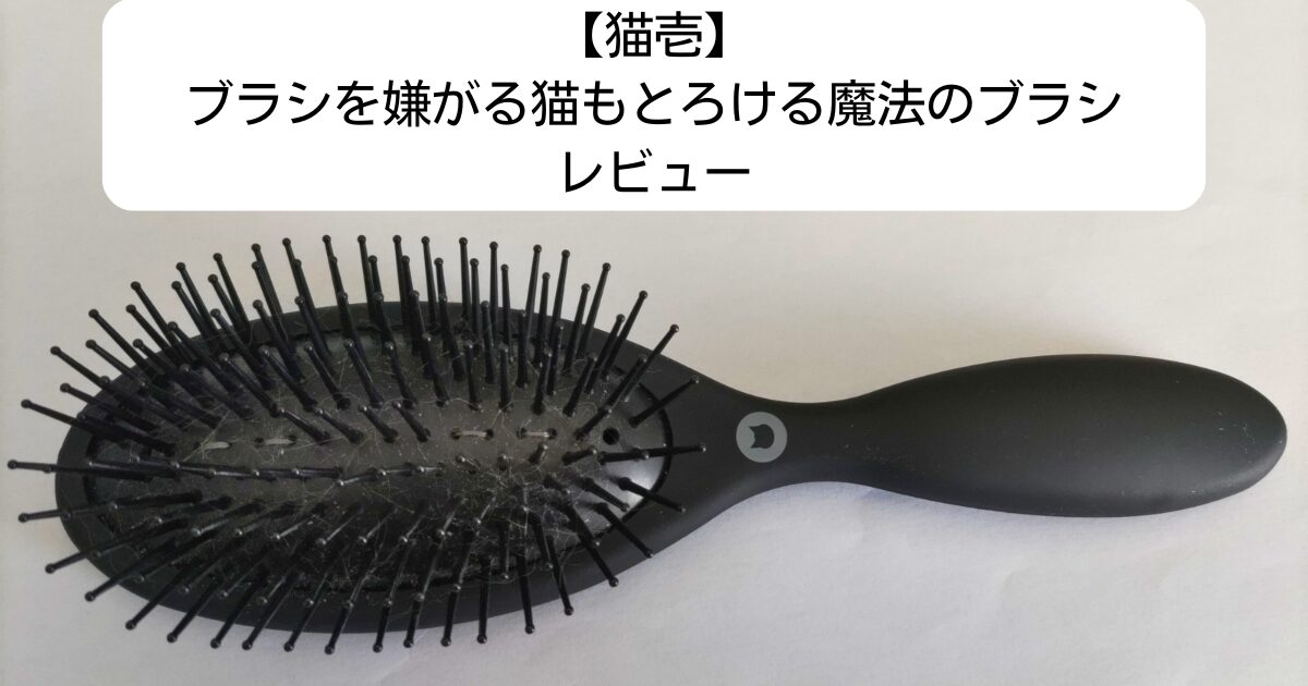 猫壱ブラシ アイキャッチ