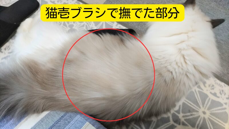 仕上がりの様子