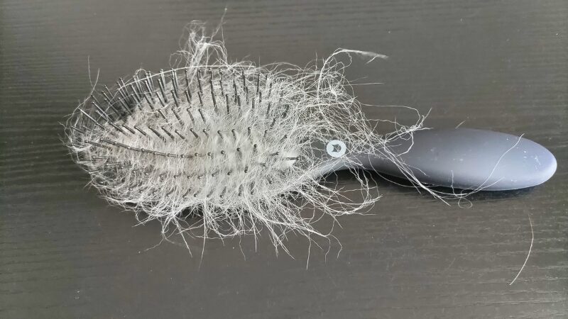 猫壱ブラシ抜け毛が絡まっている様子