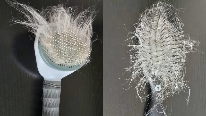 スリッカーブラシと猫壱ブラシの抜け毛取りの比較