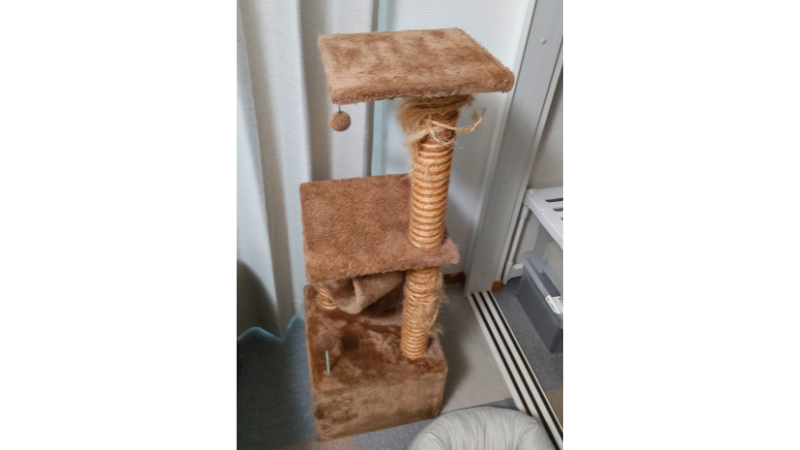 支柱が少なく揺れやすいキャットタワー。大型猫には不向きな構造の例