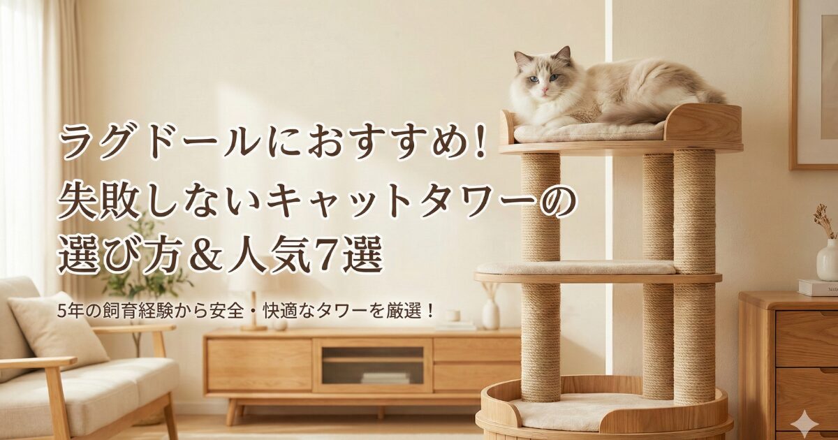 ラグドールキャットタワーおすすめアイキャッチ