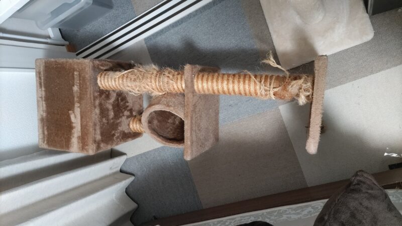 転倒した軽量キャットタワー。危険性を説明する実体験画像