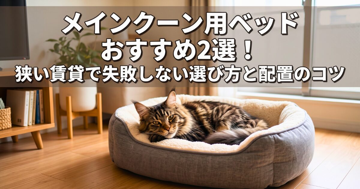 メインクーン　ベッド　おすすめ　アイキャッチ画像