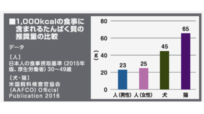 必要なたんぱく質の表